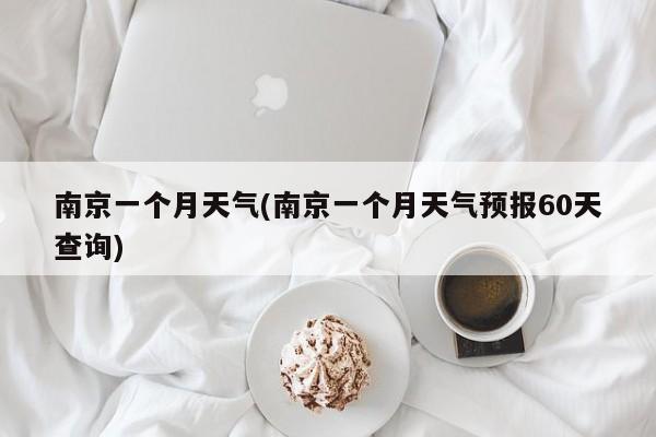 南京一个月天气(南京一个月天气预报60天查询)