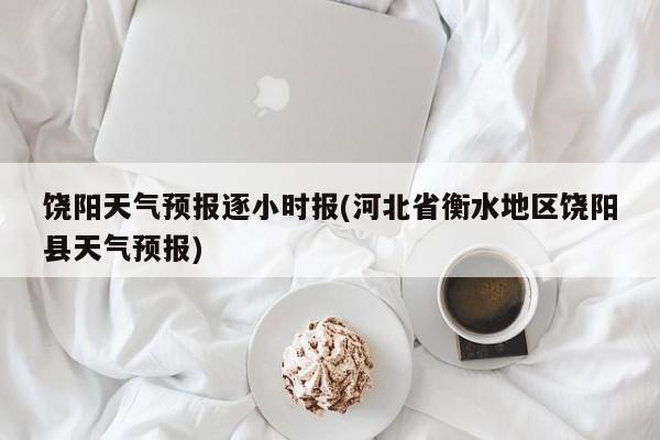 饶阳天气预报逐小时报(河北省衡水地区饶阳县天气预报) 第1张
