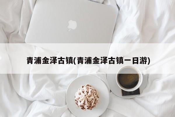 青浦金泽古镇(青浦金泽古镇一日游)