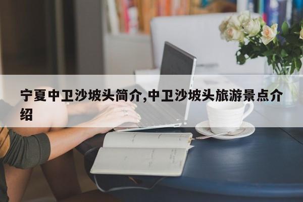 宁夏中卫沙坡头简介,中卫沙坡头旅游景点介绍 第1张