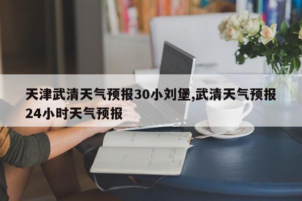 天津武清天气预报30小刘堡,武清天气预报24小时天气预报