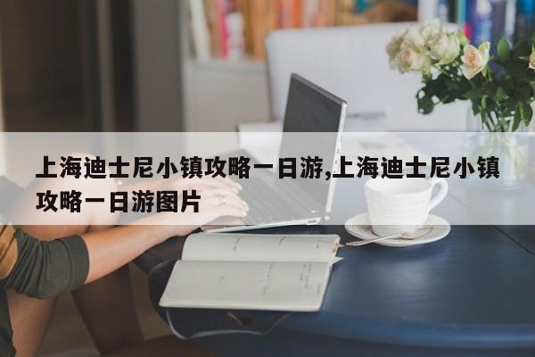 上海迪士尼小镇攻略一日游,上海迪士尼小镇攻略一日游图片