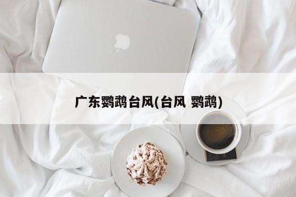 广东鹦鹉台风(台风 鹦鹉) 第1张