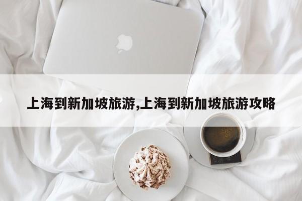上海到新加坡旅游,上海到新加坡旅游攻略