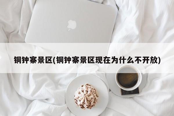 铜钟寨景区(铜钟寨景区现在为什么不开放)