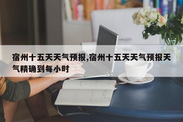 宿州十五天天气预报,宿州十五天天气预报天气精确到每小时 第1张