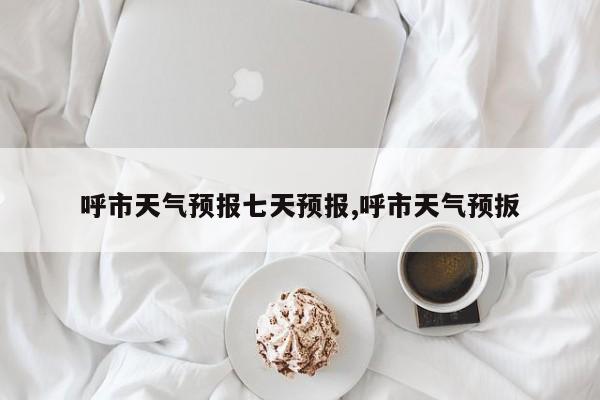 呼市天气预报七天预报,呼市天气预扳 第1张