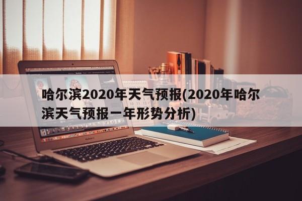 哈尔滨2020年天气预报(2020年哈尔滨天气预报一年形势分析)
