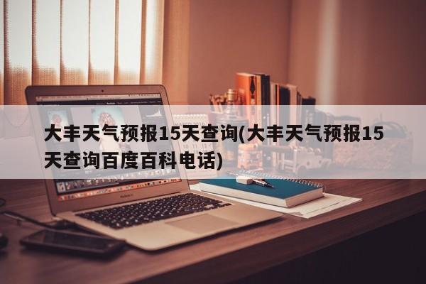 大丰天气预报15天查询(大丰天气预报15天查询百度百科电话)