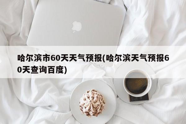 哈尔滨市60天天气预报(哈尔滨天气预报60天查询百度)